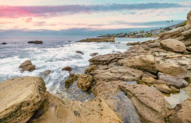 Orange County California 'daki Treasure Island Park' ta palmiye ağaçları olan Laguna Sahili Okyanus Kıyısı.