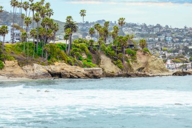 Orange County California 'daki Treasure Island Park' ta palmiye ağaçları olan Laguna Sahili Okyanus Kıyısı.