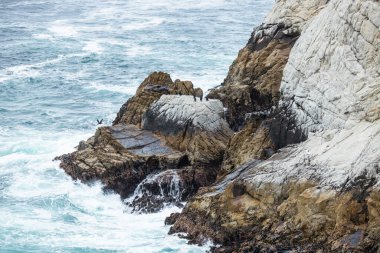 Point Lobos Doğal Rezervi, Carmel, Monterey County, California, Amerika Birleşik Devletleri, Kuzey Amerika