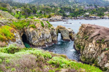 Point Lobos Doğal Rezervi, Carmel, Monterey County, California, Amerika Birleşik Devletleri, Kuzey Amerika