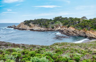 Point Lobos Doğal Rezervi, Carmel, Monterey County, California, Amerika Birleşik Devletleri, Kuzey Amerika