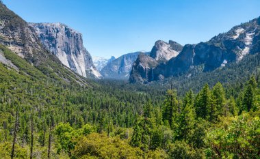 Yosemite Ulusal Park Vadisi 'ndeki Tünel Manzarası, Kaliforniya, ABD.