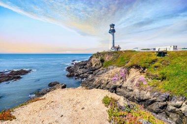 Pigeon Point Işık İstasyonu California 'nın Pasifik sahili boyunca 1. Otoyol' da.