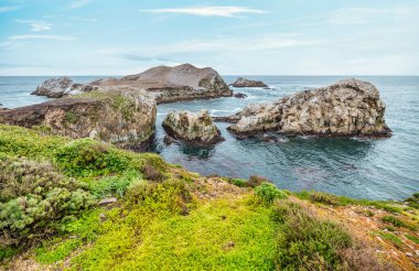 Point Lobos Doğal Rezervi, Carmel, Monterey County, California, Amerika Birleşik Devletleri, Kuzey Amerika