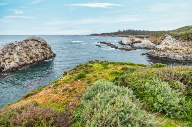 Point Lobos Doğal Rezervi, Carmel, Monterey County, California, Amerika Birleşik Devletleri, Kuzey Amerika