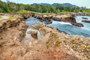 Point Lobos Doğal Rezervi, Carmel, Monterey County, California, Amerika Birleşik Devletleri, Kuzey Amerika