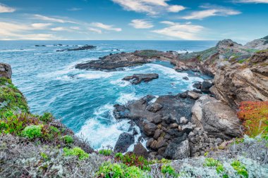 Point Lobos Doğal Rezervi, Carmel, Monterey County, California, Amerika Birleşik Devletleri, Kuzey Amerika