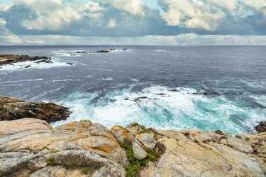 Point Lobos Doğal Rezervi, Carmel, Monterey County, California, Amerika Birleşik Devletleri, Kuzey Amerika