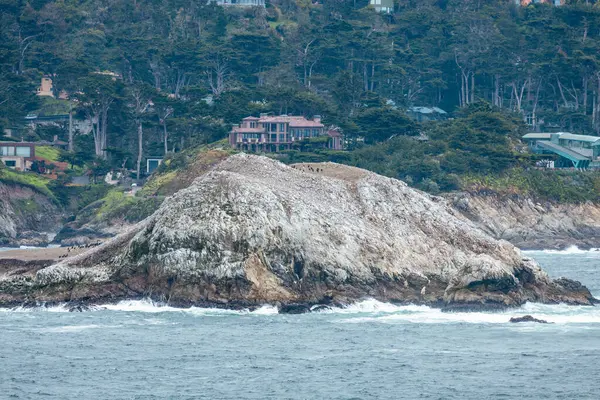 stock image Point Lobos State Natural Reserve, Carmel, Monterey County, California, United States of America, North America