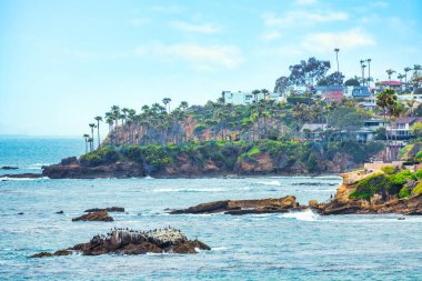 Orange County California 'daki Treasure Island Park' ta palmiye ağaçları olan Laguna Sahili Okyanus Kıyısı.