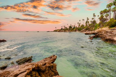 Orange County California 'daki Treasure Island Park' ta palmiye ağaçları olan Laguna Sahili Okyanus Kıyısı.