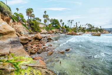Orange County California 'daki Treasure Island Park' ta palmiye ağaçları olan Laguna Sahili Okyanus Kıyısı.