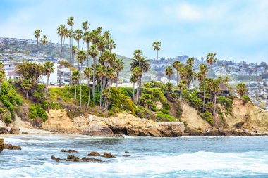 Orange County California 'daki Treasure Island Park' ta palmiye ağaçları olan Laguna Sahili Okyanus Kıyısı.