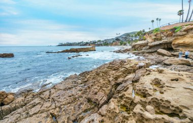 Orange County California 'daki Treasure Island Park' ta palmiye ağaçları olan Laguna Sahili Okyanus Kıyısı.
