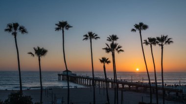 Kaliforniya, Los Angeles 'ta gün batımında Manhattan sahilinde palmiye ağaçları ve iskele..