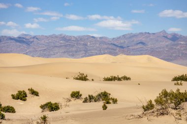Ölüm Vadisi, Kaliforniya, ABD 'deki dağların ve gökyüzünün arka planında kum tepeleri