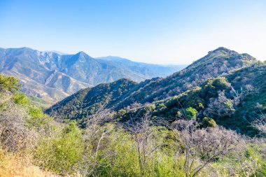 Panoramic Point 'ten Sierra Nevada ve Sequoia Ulusal Ormanı ve Krallar Kanyonu Ulusal Parkı manzarası
