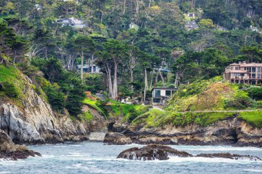 Point Lobos Doğal Rezervi, Carmel, Monterey County, California, Amerika Birleşik Devletleri, Kuzey Amerika