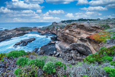 Point Lobos Doğal Rezervi, Carmel, Monterey County, California, Amerika Birleşik Devletleri, Kuzey Amerika