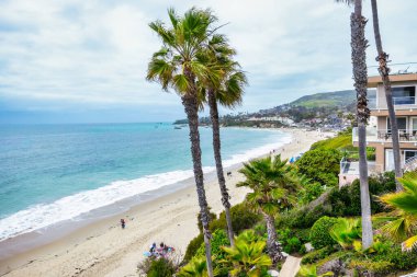 Orange County California 'daki Treasure Island Park' ta palmiye ağaçları olan Laguna Sahili Okyanus Kıyısı.