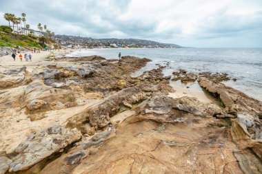 Orange County California 'daki Treasure Island Park' ta palmiye ağaçları olan Laguna Sahili Okyanus Kıyısı.