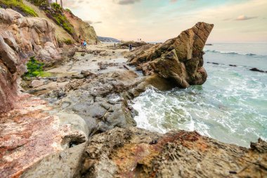Orange County California 'daki Treasure Island Park' ta palmiye ağaçları olan Laguna Sahili Okyanus Kıyısı.
