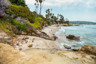 Orange County California 'daki Treasure Island Park' ta palmiye ağaçları olan Laguna Sahili Okyanus Kıyısı.