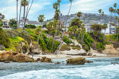 Orange County California 'daki Treasure Island Park' ta palmiye ağaçları olan Laguna Sahili Okyanus Kıyısı.