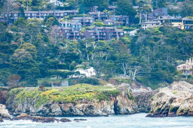 Point Lobos Doğal Rezervi, Carmel, Monterey County, California, Amerika Birleşik Devletleri, Kuzey Amerika