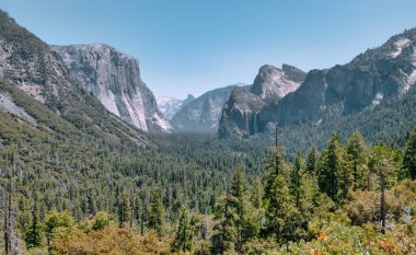 Yosemite Ulusal Park Vadisi 'ndeki Tünel Manzarası, Kaliforniya, ABD.
