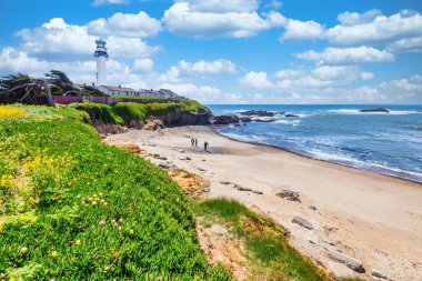 Pigeon Point Light Station on Highway 1 along the scenic Pacific coastline of California clipart