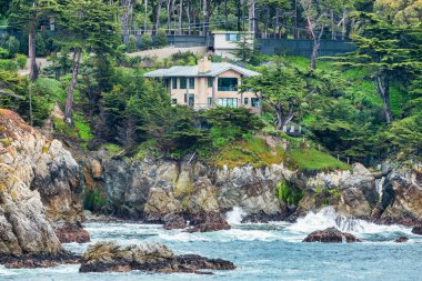 Point Lobos Doğal Rezervi, Carmel, Monterey County, California, Amerika Birleşik Devletleri, Kuzey Amerika