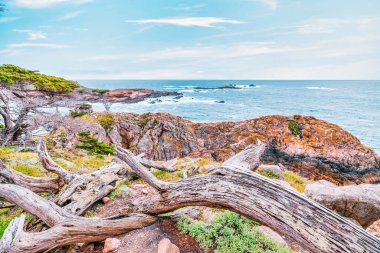 Point Lobos Doğal Rezervi, Carmel, Monterey County, California, Amerika Birleşik Devletleri, Kuzey Amerika