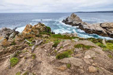 Point Lobos Doğal Rezervi, Carmel, Monterey County, California, Amerika Birleşik Devletleri, Kuzey Amerika