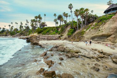 Orange County California 'daki Treasure Island Park' ta palmiye ağaçları olan Laguna Sahili Okyanus Kıyısı.