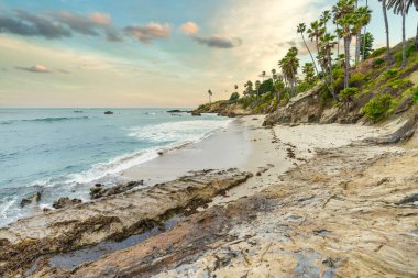 Orange County California 'daki Treasure Island Park' ta palmiye ağaçları olan Laguna Sahili Okyanus Kıyısı.
