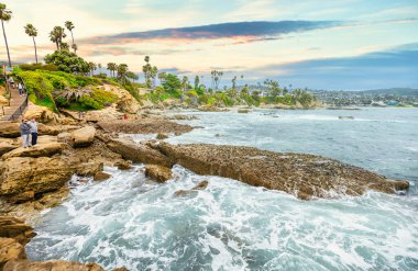 Orange County California 'daki Treasure Island Park' ta palmiye ağaçları olan Laguna Sahili Okyanus Kıyısı.