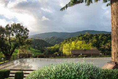 Kaliforniya 'nın Silikon Vadisi' nde ilkbaharda yeşil çayırları olan dağların güzel manzarası. Stanford yakınlarında bir patikada yürürken çekilmiş.