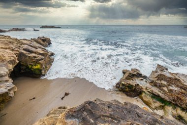 Orange County California 'daki Treasure Island Park' ta palmiye ağaçları olan Laguna Sahili Okyanus Kıyısı.