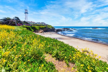 Pigeon Point Işık İstasyonu California 'nın Pasifik sahili boyunca 1. Otoyol' da.