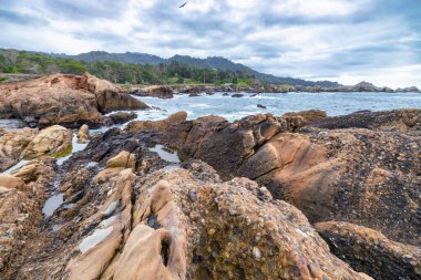 Point Lobos Doğal Rezervi, Carmel, Monterey County, California, Amerika Birleşik Devletleri, Kuzey Amerika