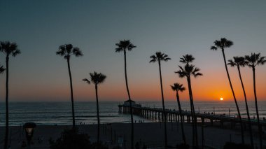 Kaliforniya, Los Angeles 'ta gün batımında Manhattan sahilinde palmiye ağaçları ve iskele..