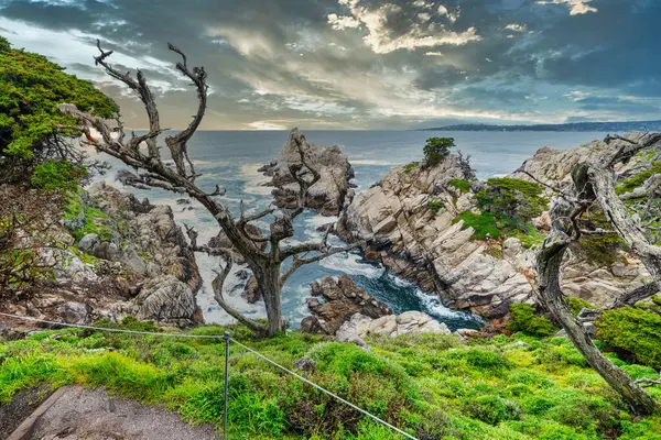 stock image Point Lobos State Natural Reserve, Carmel, Monterey County, California, United States of America, North America