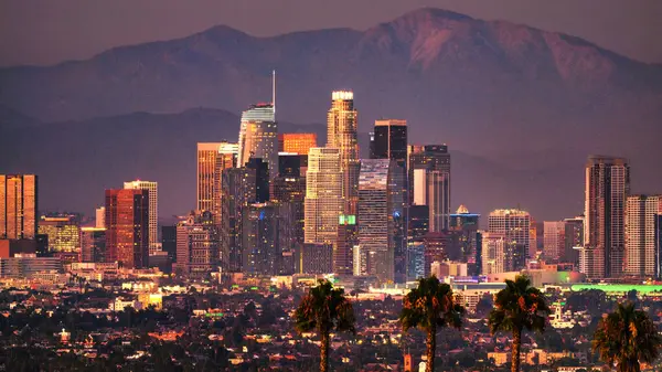 Los Angeles şehir merkezinin güzel akşam manzarası ve ön planda palmiye ağaçları. Hayaller şehri, güzellik, moda, sinema, dünyadaki en harika yer.
