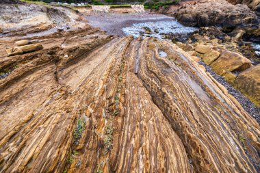 Point Lobos Doğal Rezervi, Carmel, Monterey County, California, Amerika Birleşik Devletleri, Kuzey Amerika