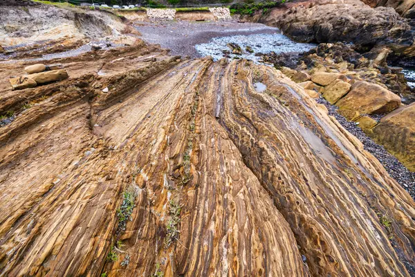 stock image Point Lobos State Natural Reserve, Carmel, Monterey County, California, United States of America, North America