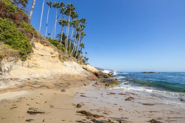 Treasure Island Park, Orange County, Kaliforniya, ABD 'deki palmiye ağaçları ile Laguna Sahili' nin güzel manzarası..