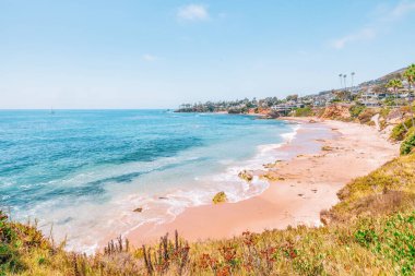 Treasure Island Park, Orange County, Kaliforniya, ABD 'deki palmiye ağaçları ile Laguna Sahili' nin güzel manzarası..