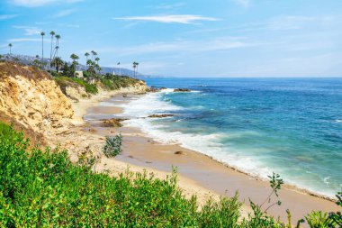 Treasure Island Park, Orange County, Kaliforniya, ABD 'deki palmiye ağaçları ile Laguna Sahili' nin güzel manzarası..
