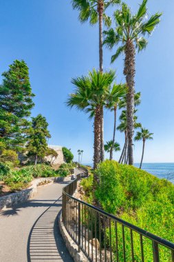 Treasure Island Park, Orange County, Kaliforniya, ABD 'deki palmiye ağaçları ile Laguna Sahili' nin güzel manzarası..